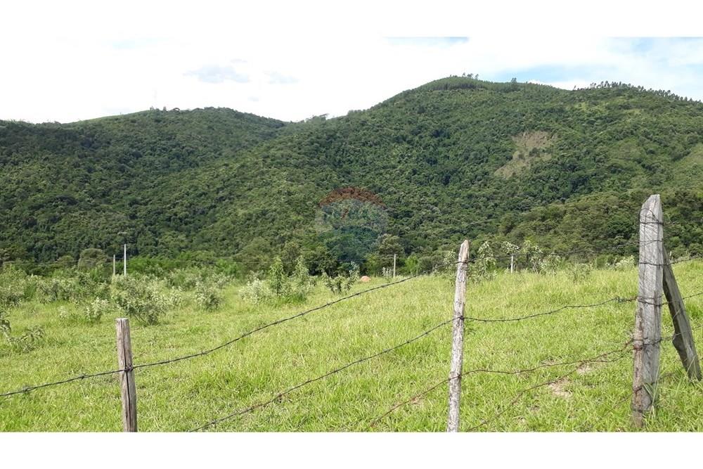 Fazenda - Venda - Serra Negra , São Paulo - 20250211_151242.jpg - 690291056-26