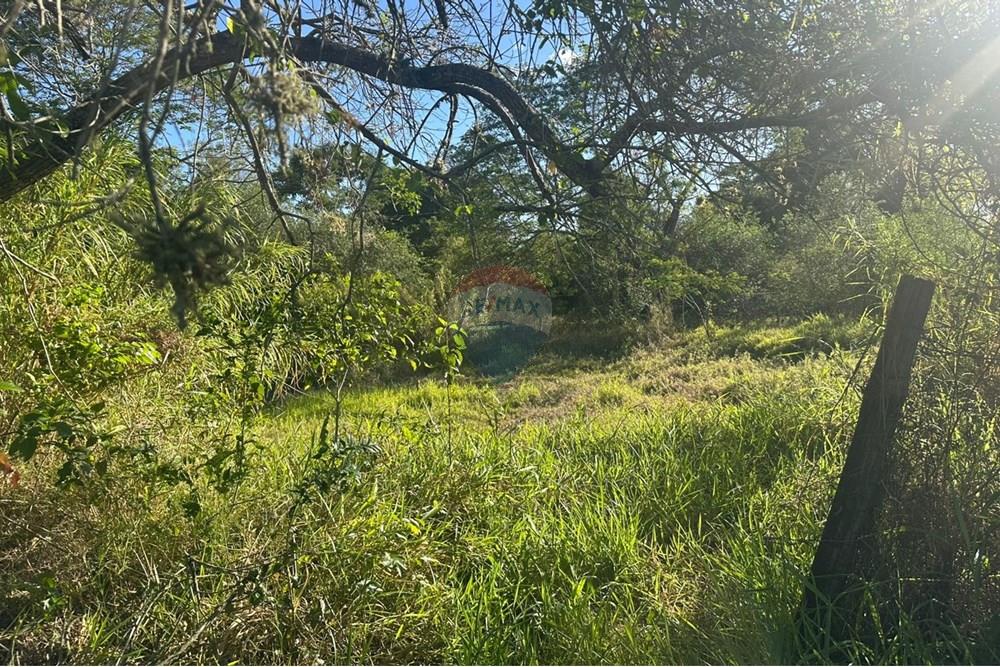 Chácara / Sítio / Fazenda - Venda - Jundiaí , São Paulo - WhatsApp Image 2025-10-23 at 13.29.00 (3).jpeg - 690801041-183