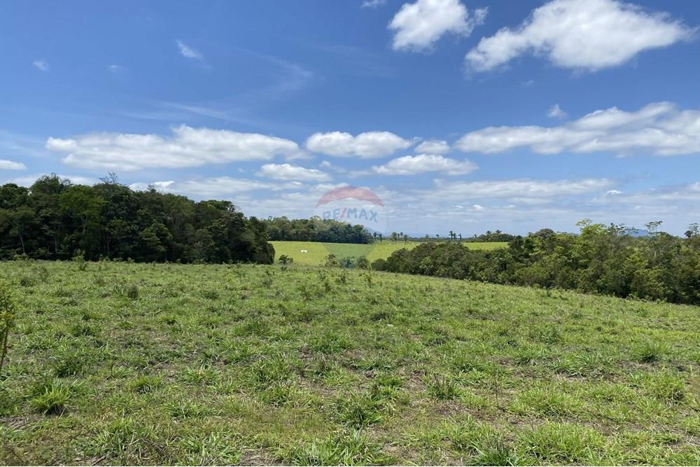 Fazenda - Venda - Iguape , São Paulo - IMG_6011.jpg - 690061038-14