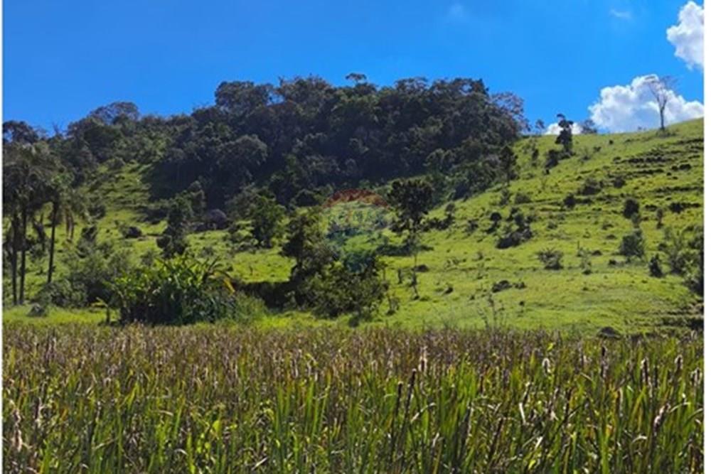 Chácara / Sítio / Fazenda - Venda - Morungaba , São Paulo - WhatsApp Image 2026-03-05 at 17.26.16.jpeg - 691131002-3