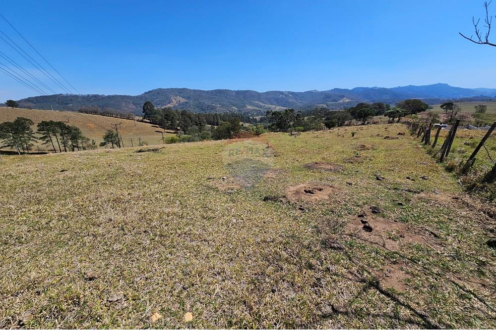 Terreno - Venda - Vargem , São Paulo - 20250930_101521.jpg - 690041101-12