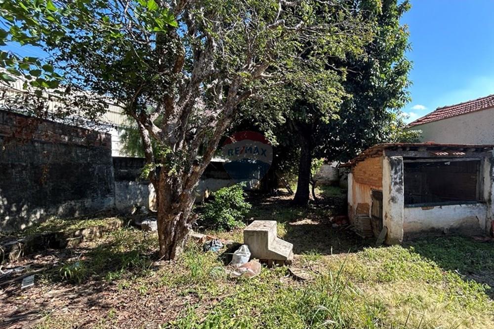 Terreno - Venda - Americana , São Paulo - IMG_8334.jpg - 690641010-528