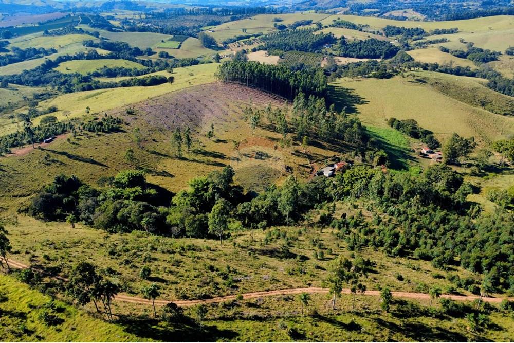 Chácara / Sítio / Fazenda - Venda - Socorro , São Paulo - dji_fly_20250617_094236_205_1750164217059_photo_optimized.jpg - 690291056-39