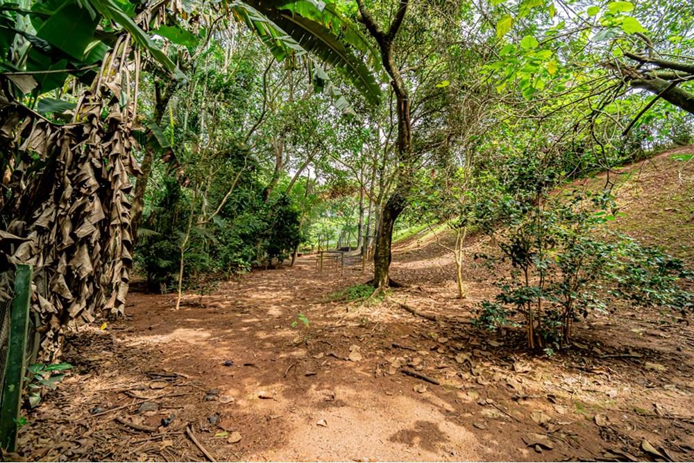 Casa de Condomínio - Venda - Cotia , São Paulo - CA-25.jpg - 691151005-56