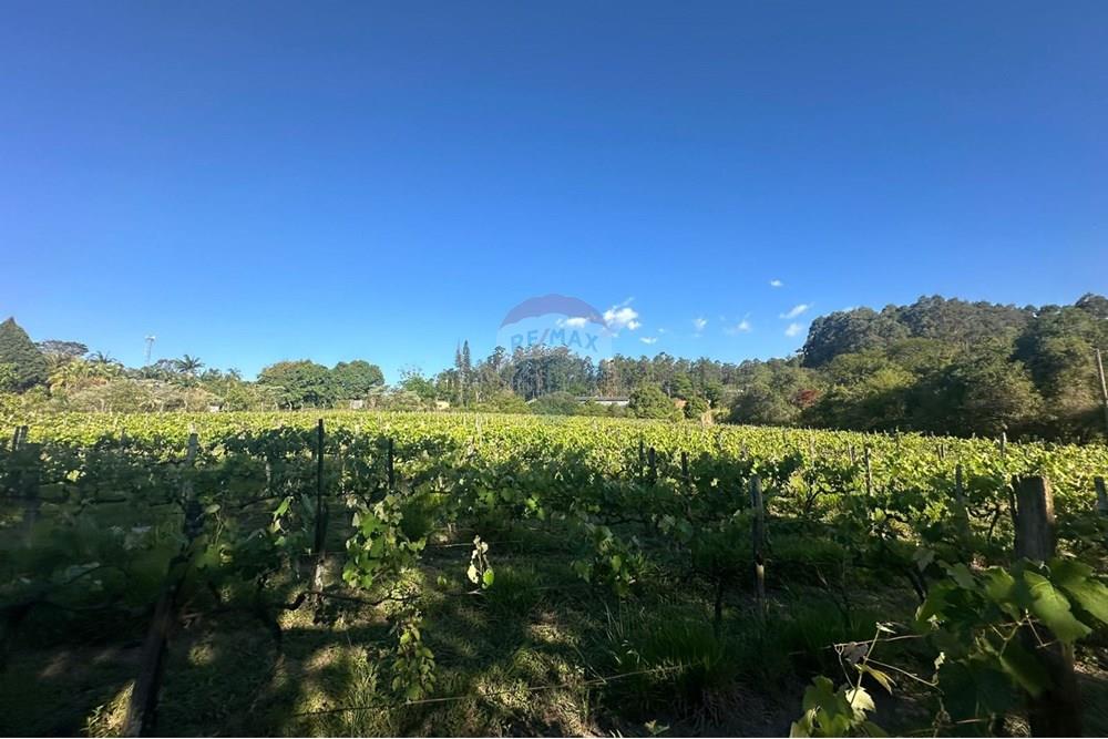 Chácara / Sítio / Fazenda - Venda - Jundiaí , São Paulo - WhatsApp Image 2025-10-23 at 13.29.01 (1).jpeg - 690801041-183