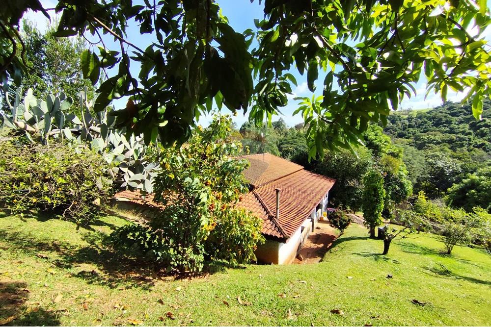 Chácara / Sítio / Fazenda - Venda - Itapira , São Paulo - 1751510168682.jpg - 690291085-364