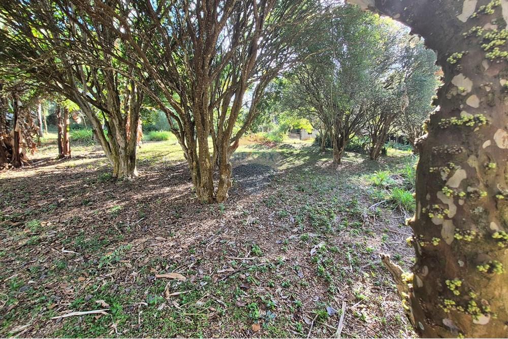 Chácara / Sítio / Fazenda - Venda - Amparo , São Paulo - 20250807_150242.jpg - 690681097-40