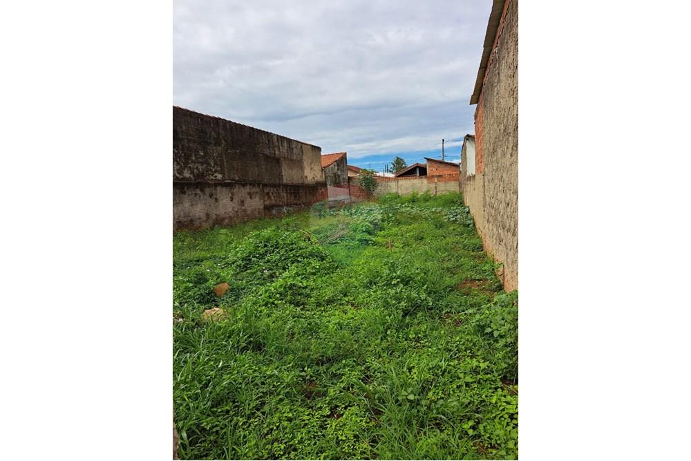 Terreno - Venda - Mogi Guaçu , São Paulo - WhatsApp Image 2025-02-20 at 08.36.25 (1).jpeg - 690281038-116