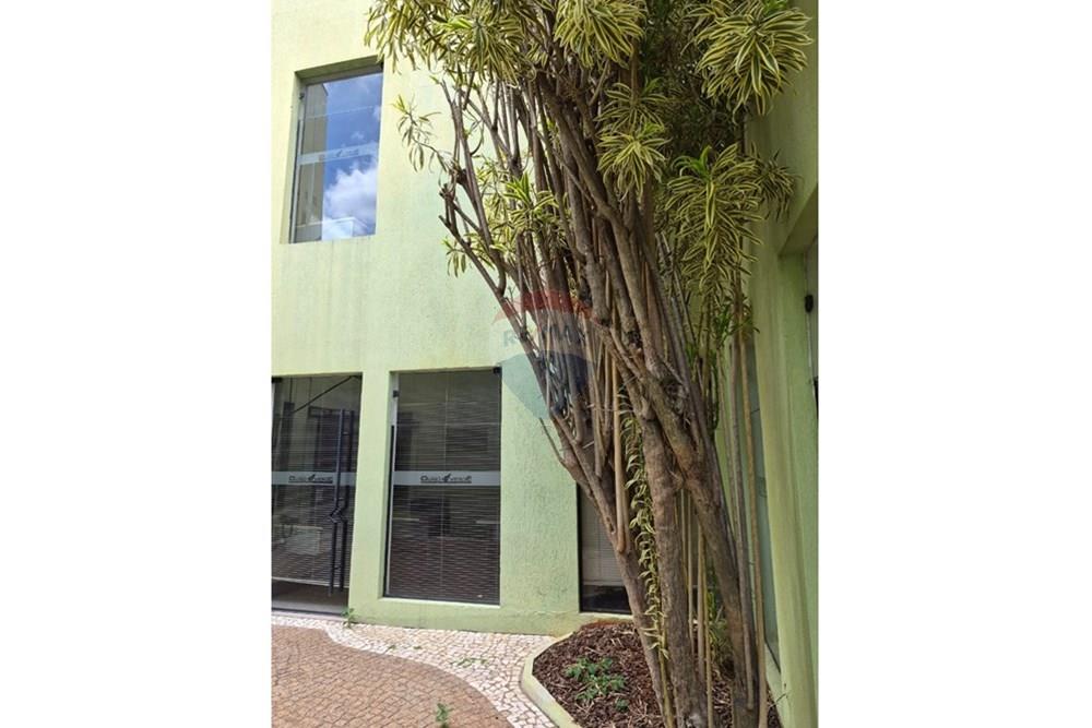 Casa Comercial - Alugar - Campinas , São Paulo - WhatsApp Image 2026-01-07 at 14.33.38 (3).jpeg - 690681197-9