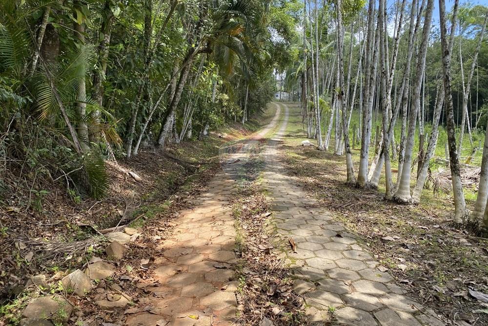 Fazenda - Venda - Pariquera-Açu , São Paulo - IMG_6155.jpg - 690061038-24