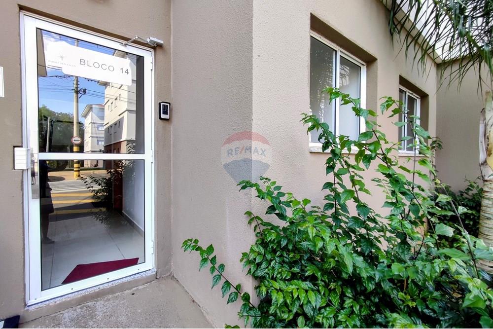 Apartamento - Alugar - Mogi Guaçu , São Paulo - 2..jpg - 690521007-320