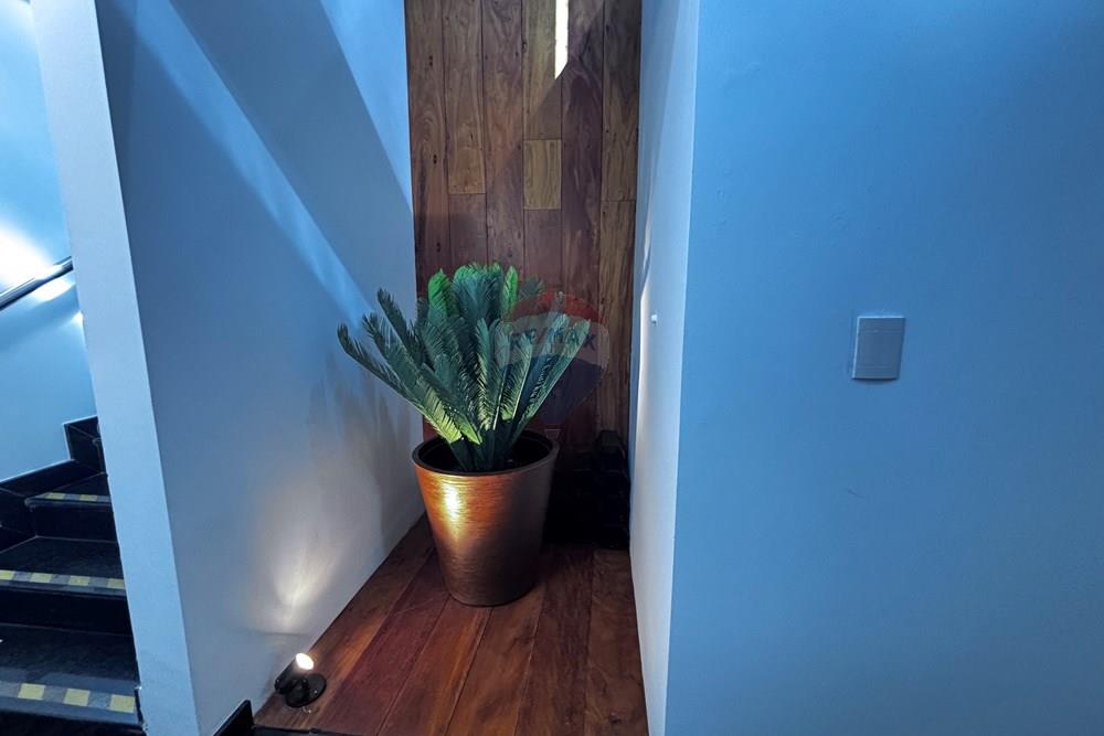 Ponto Comercial - Alugar - Piracicaba , São Paulo - IMG_2403.jpeg - 690781200-2