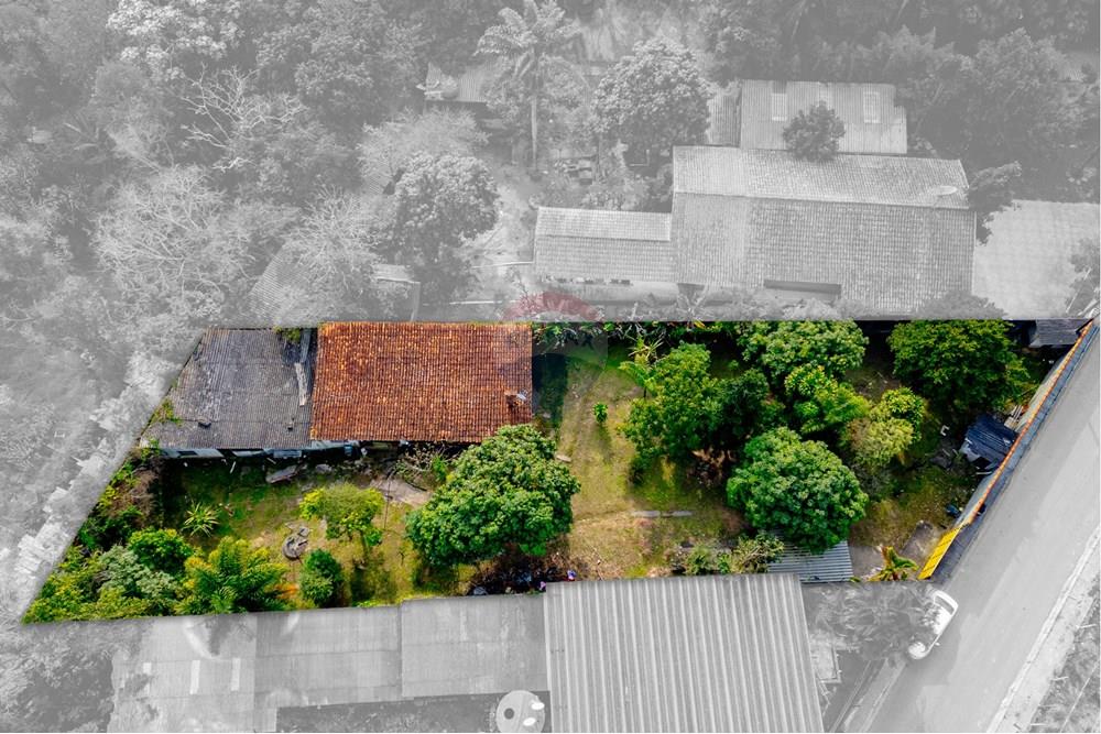 Chácara / Sítio / Fazenda - Venda - Mairiporã , São Paulo - RINF-04-dermac.jpg - 690921096-9