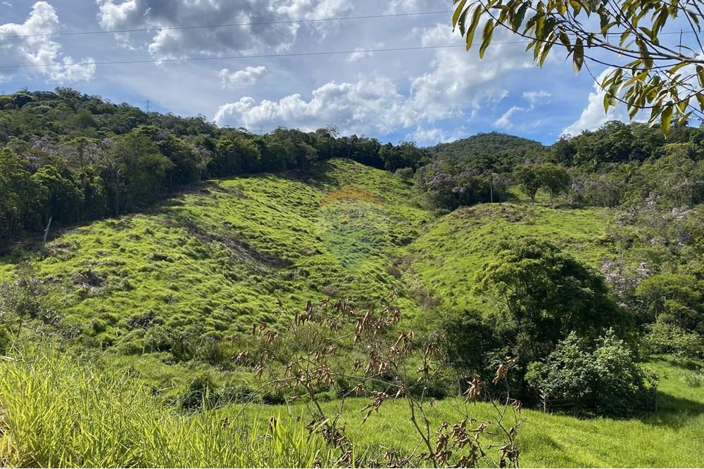 Fazenda - Venda - Jacupiranga , São Paulo - IMG_6252.jpeg - 690061038-17