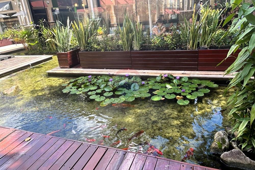 Cj. Comercial/ Sala - Alugar - Campinas , São Paulo - IMG_1432.JPG - 690681117-77