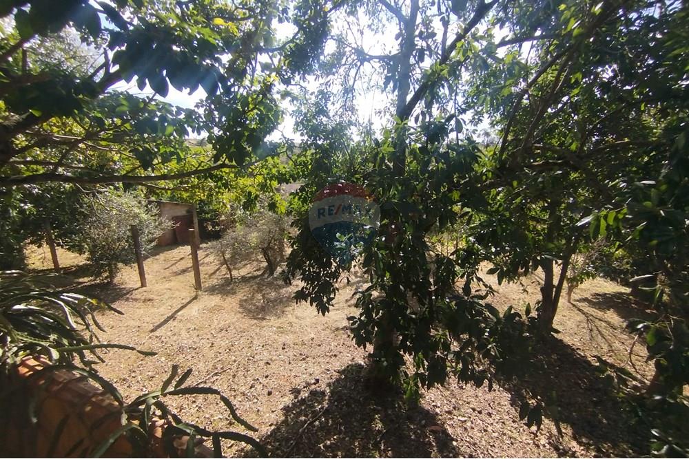 Chácara / Sítio / Fazenda - Venda - Itapira , São Paulo - IMG_20250620_135016 (1).jpg - Quintal - 690521014-142