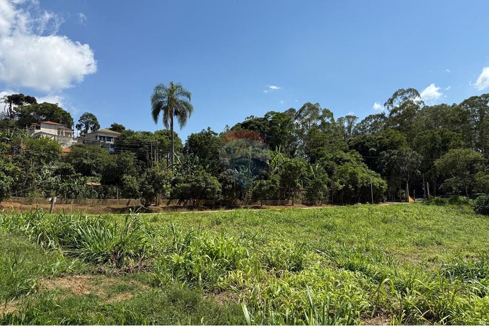 Terreno - Venda - Tuiuti , São Paulo - lote t 14.jpeg - 690041137-56