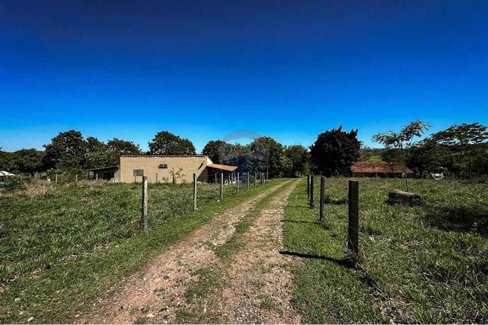 Agro - Venda - Rio Claro , São Paulo - OO.jpeg - 690901035-38