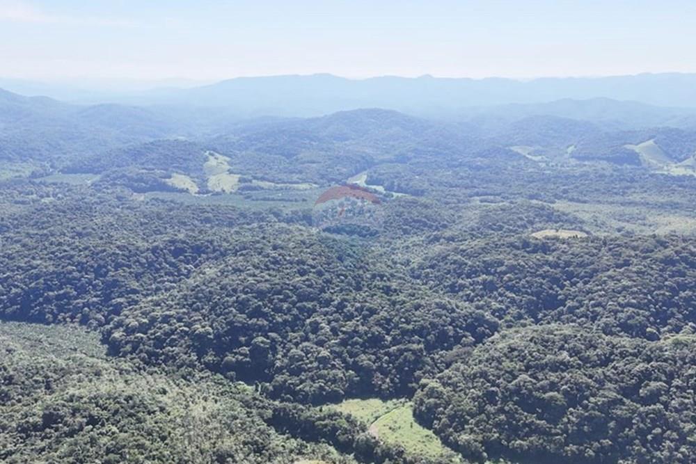 Fazenda - Venda - Miracatu , São Paulo - WhatsApp Image 2025-05-20 at 13.34.11.jpeg - 690061038-9