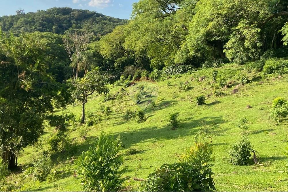 Terreno - Venda - Valinhos , São Paulo - WhatsApp Image 2025-11-29 at 18.33.10.jpeg - 691181010-13