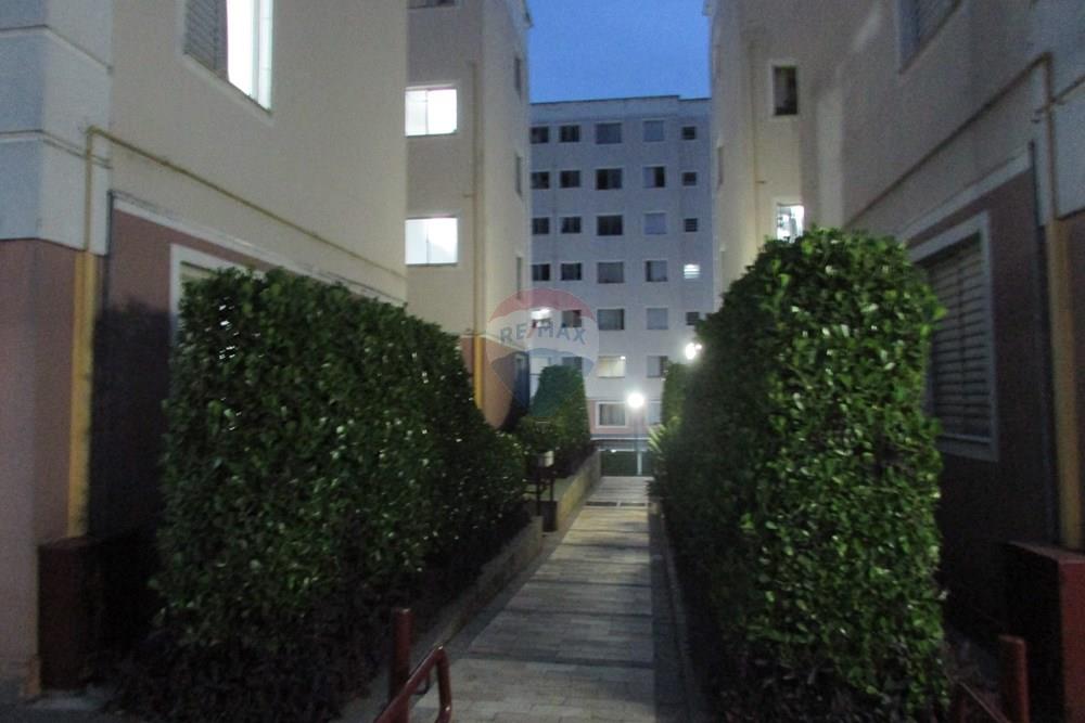 Apartamento - Alugar - Paulínia , São Paulo - IMG_3116.JPG - 691181028-23