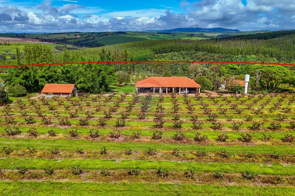 Fazenda - Venda - Analândia , São Paulo - Tratada - Drone-60.jpg - 690691016-305