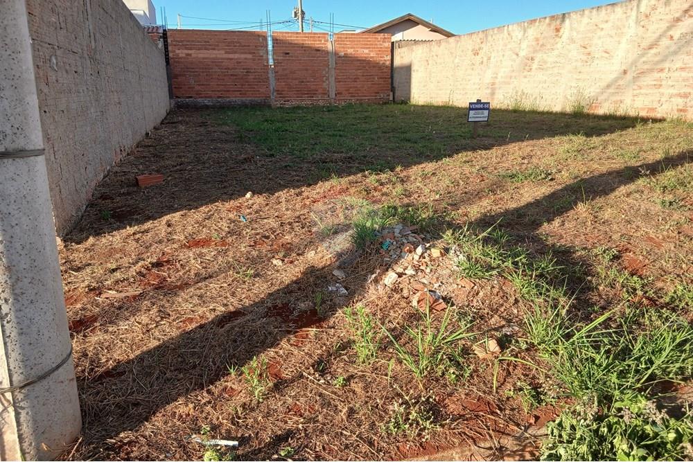 Terreno - Venda - Mogi Guaçu , São Paulo - 20250830_170726.jpg - 690521132-26