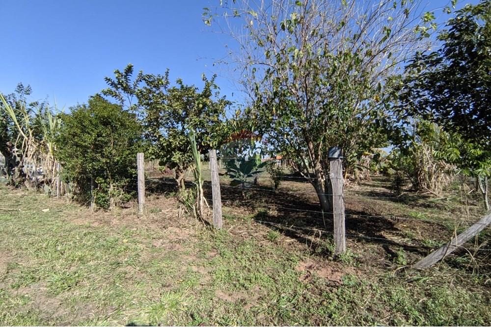 Terreno - Venda - Mogi Guaçu , São Paulo - 24.jpeg - 690521018-187