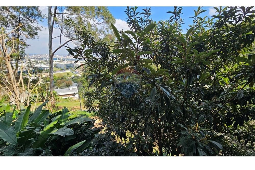 Casa de Condomínio - Alugar - Barueri , São Paulo - 20250724_130208.jpg - 691141030-12