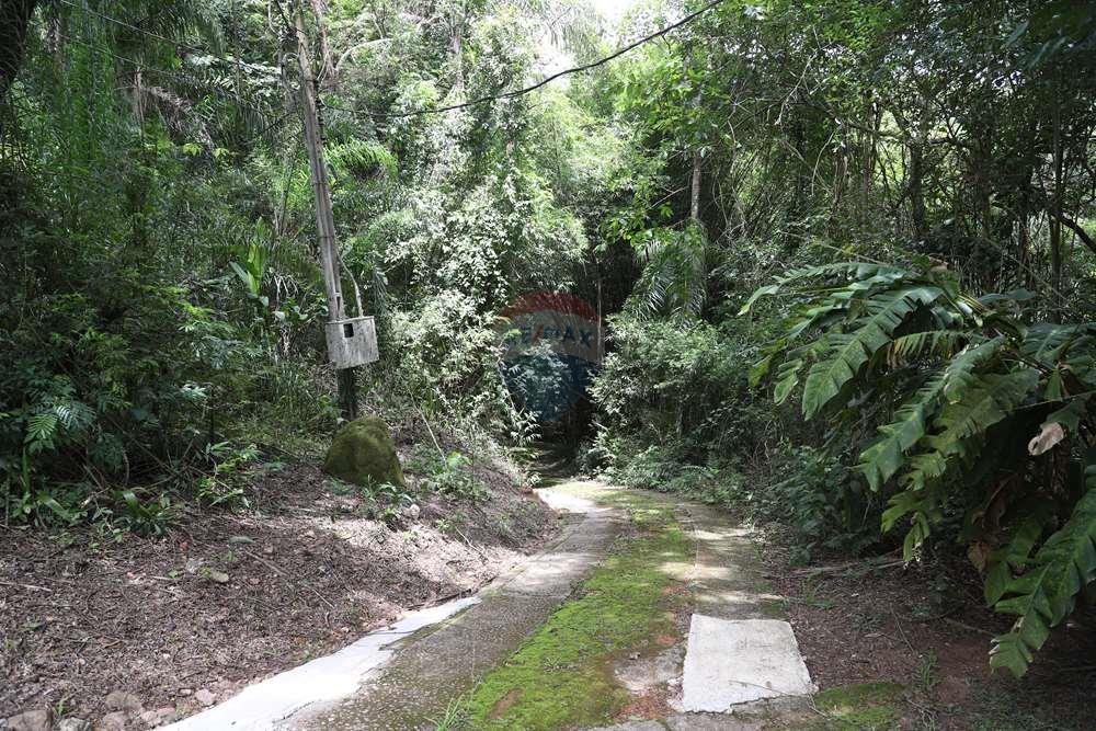 Chácara / Sítio / Fazenda - Venda - Jarinu , São Paulo - IMG_6600.JPG - 690661027-129