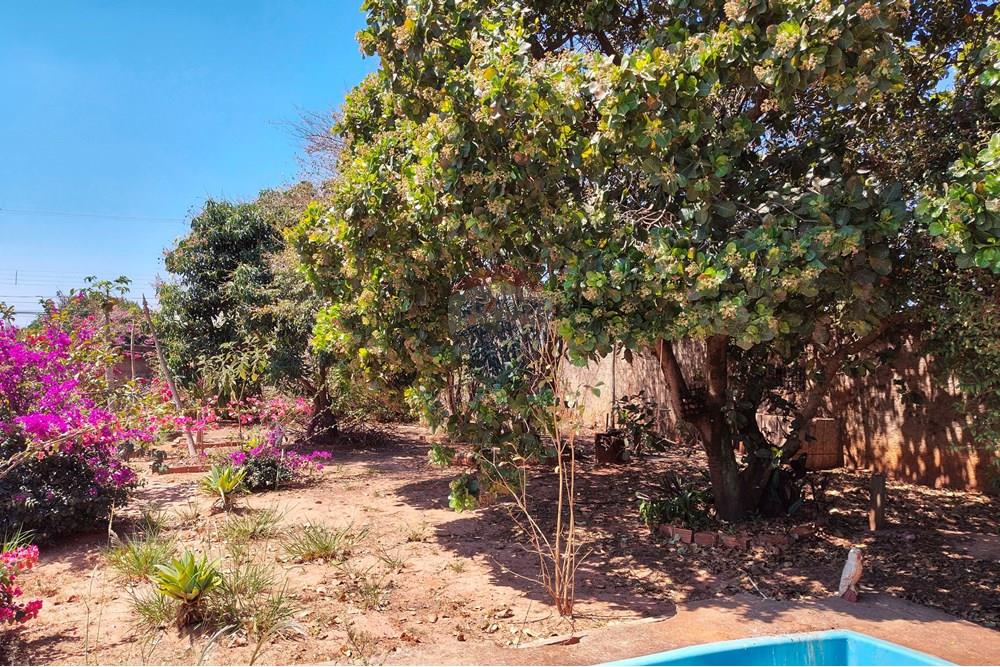 Chácara / Sítio / Fazenda - Venda - Cosmópolis , São Paulo - IMG_20250917_130448302_HDR-EDIT.jpg - 690511001-1554