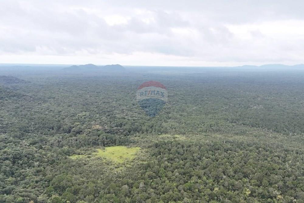 Fazenda - Venda - Iguape , São Paulo - WhatsApp Image 2025-08-11 at 16.22.19 (3).jpeg - 690061038-13