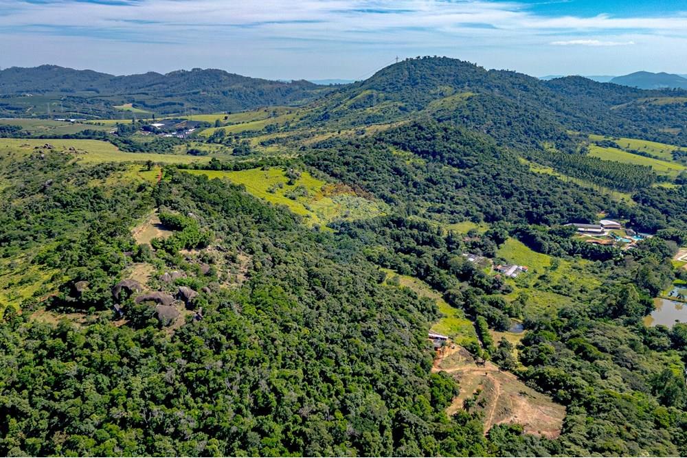 Terreno - Venda - Bragança Paulista , São Paulo - RINF (1).jpg - 690921066-41