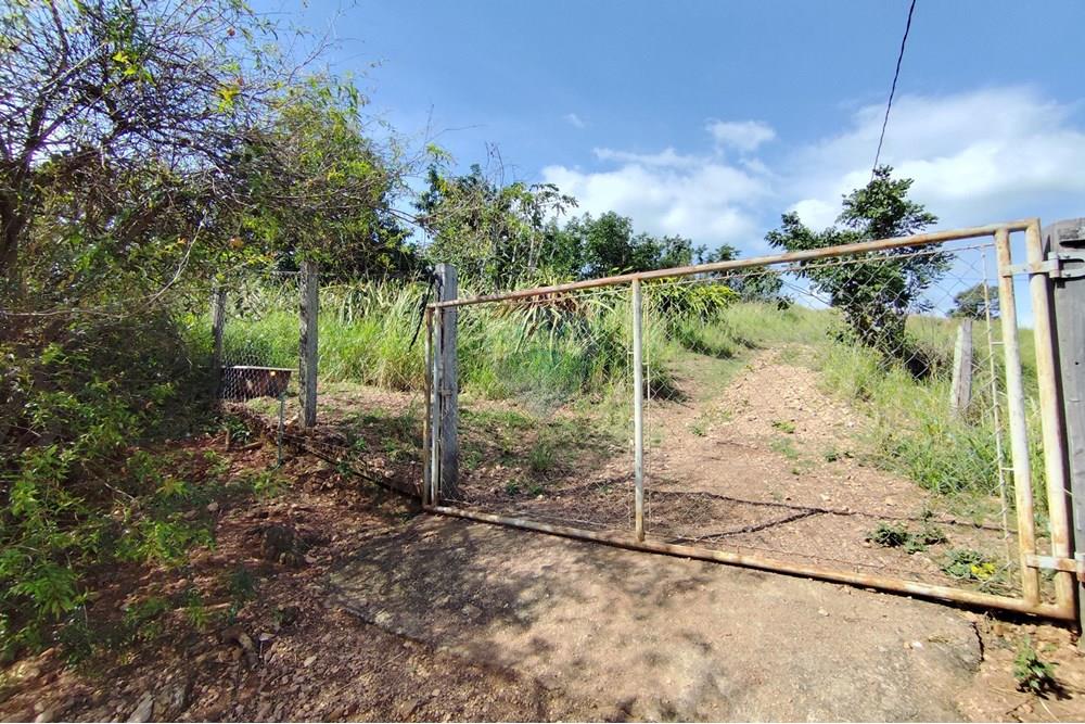 Chácara / Sítio / Fazenda - Venda - Itapira , São Paulo - 1751510168568.jpg - 690291085-364