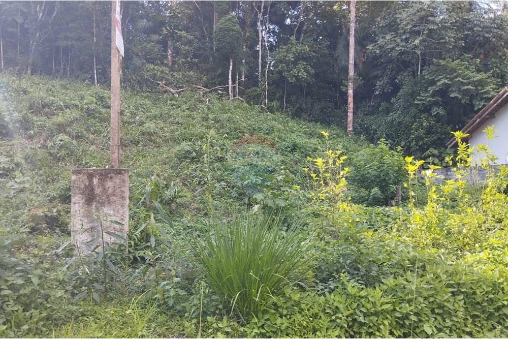 Terreno - Venda - Registro , São Paulo - WhatsApp Image 2025-05-05 at 14.27.10 (1).jpeg - 690061038-4