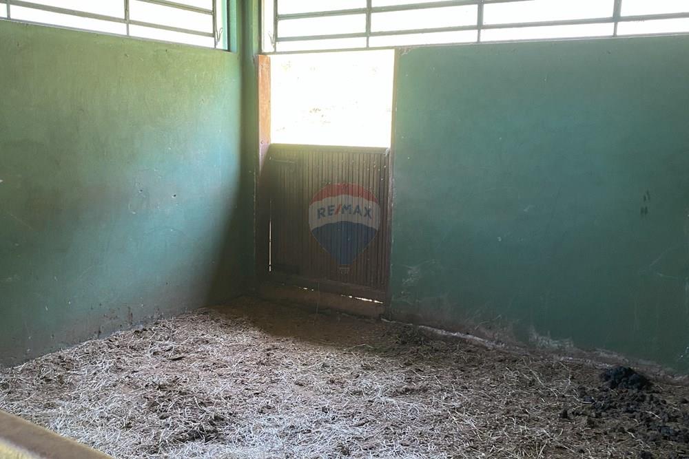 Fazenda - Venda - Piraju , São Paulo - IMG_7334 - Copia (3) - Copia.jpg - 690061038-29