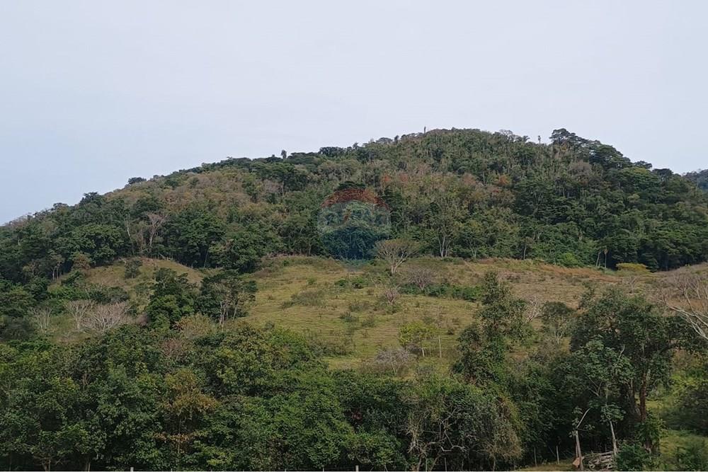 Chácara / Sítio / Fazenda - Venda - Santa Maria da Serra , São Paulo - 36873353-3e26-4eb1-830a-80fec47fb391.jpg - 690571076-32