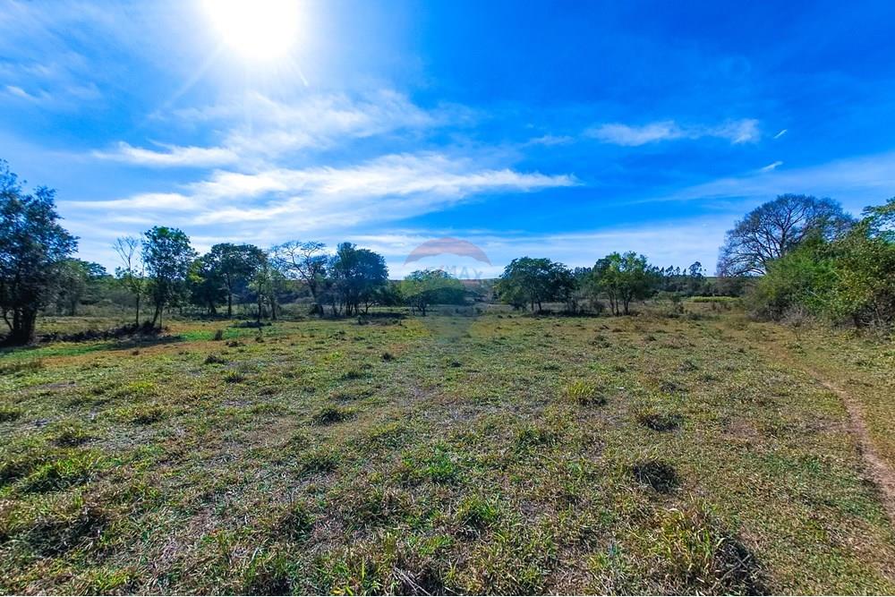 Chácara / Sítio / Fazenda - Venda - Santa Cruz da Conceição , São Paulo - Tratada-38.jpg - 690481001-177