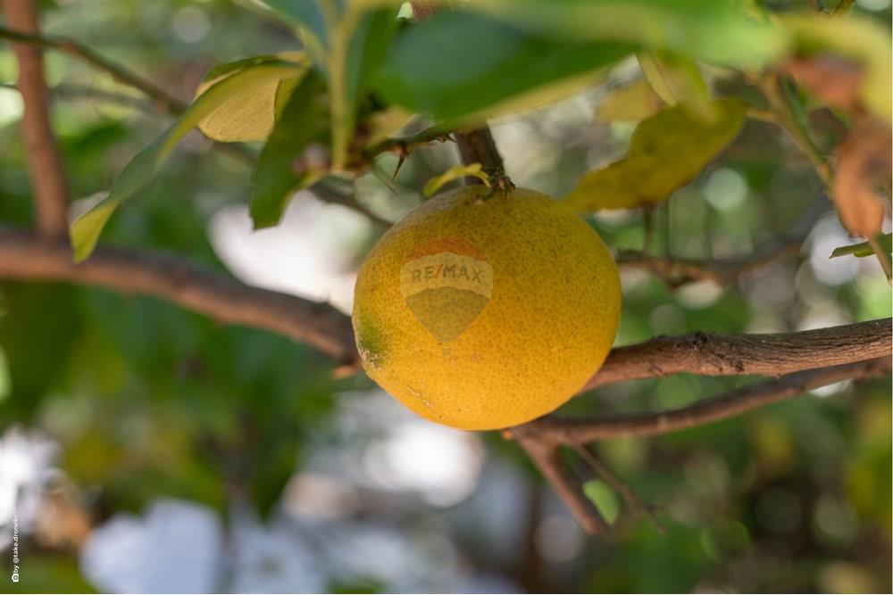 Casa de Condomínio - Venda - Campinas , São Paulo - TKD-5768.jpg - Quintal - 690681118-96