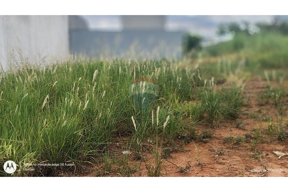 Terreno - Venda - Limeira , São Paulo - WhatsApp Image 2026-01-06 at 14.43.22 (3).jpeg - 690741092-3