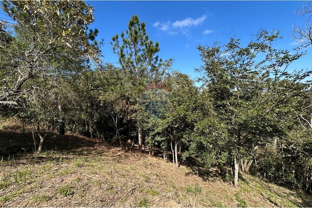 Terreno - Venda - Jarinu , São Paulo - IMG-20250819-WA0030.jpg - 690661027-137