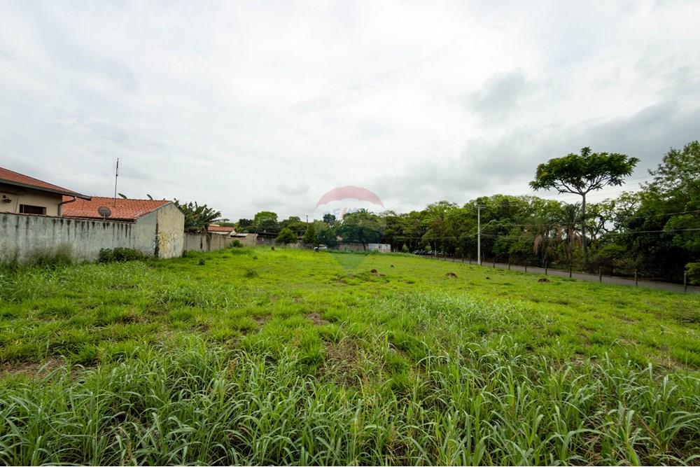 Terreno - Venda - Campinas , São Paulo - 1 (19).jpg - 691181018-45