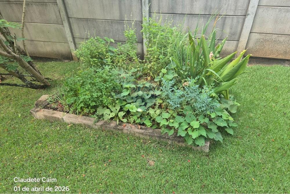 Casa - Alugar - Vinhedo , São Paulo - 455d209e-2b9b-4b90-be94-f39426e6ef87.jpg - 690851008-598