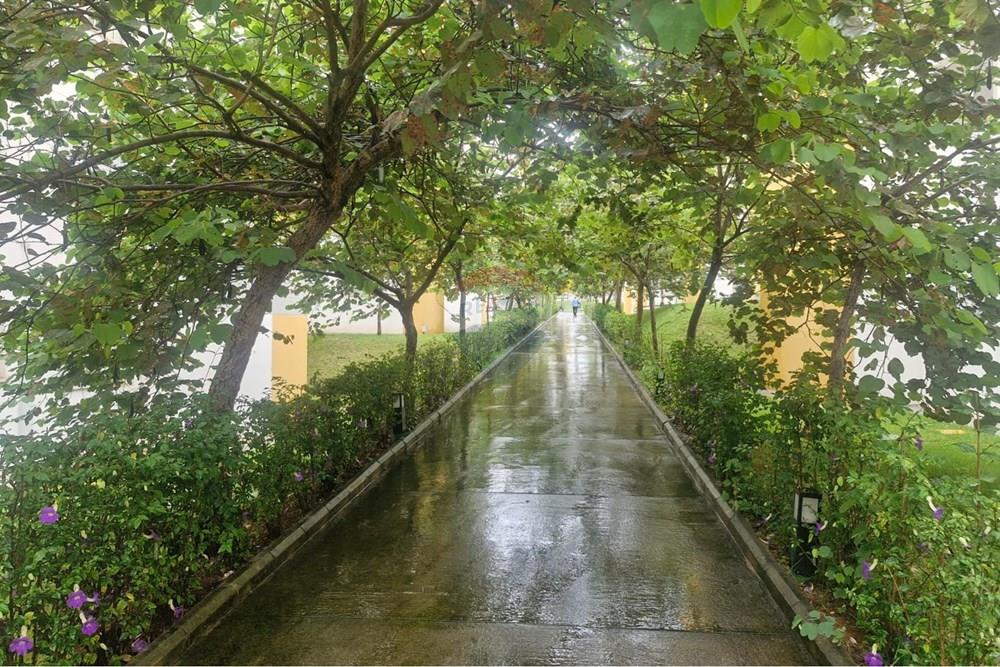 Apartamento - Venda - Paulínia , São Paulo - WhatsApp Image 2026-02-10 at 17.02.22 (1).jpeg - 690511202-92