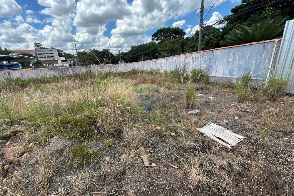 Terreno - Venda - Nova Odessa , São Paulo - IMG_3078.JPG - 690641010-580