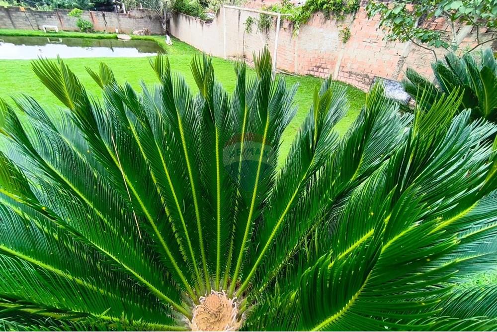 Terreno - Venda - Mogi Guaçu , São Paulo - WhatsApp Image 2025-04-25 at 17.30.50 (4).jpeg - 690521018-181