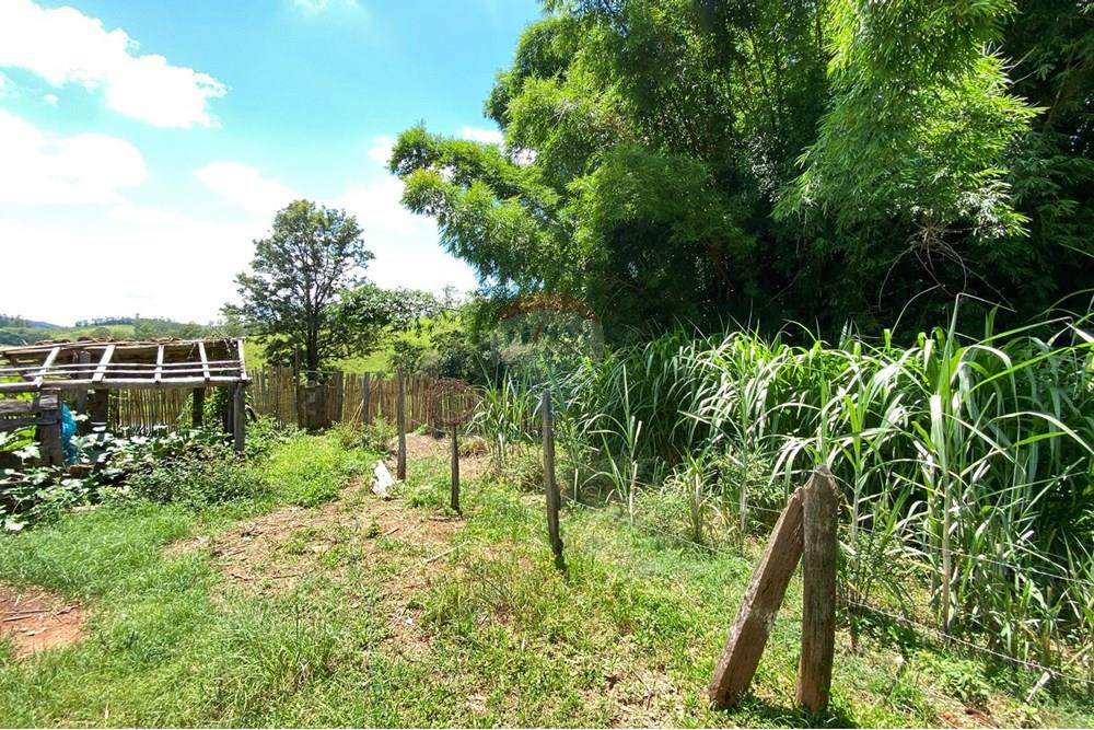 Chácara / Sítio / Fazenda - Venda - Lindóia , São Paulo - Imagem do WhatsApp de 2025-02-25 à(s) 19.33.44_01852013.jpg - 690291077-296