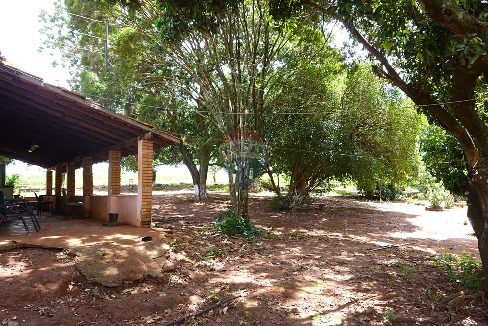 Agro - Venda - Araraquara , São Paulo - 15.JPG - 690151012-120