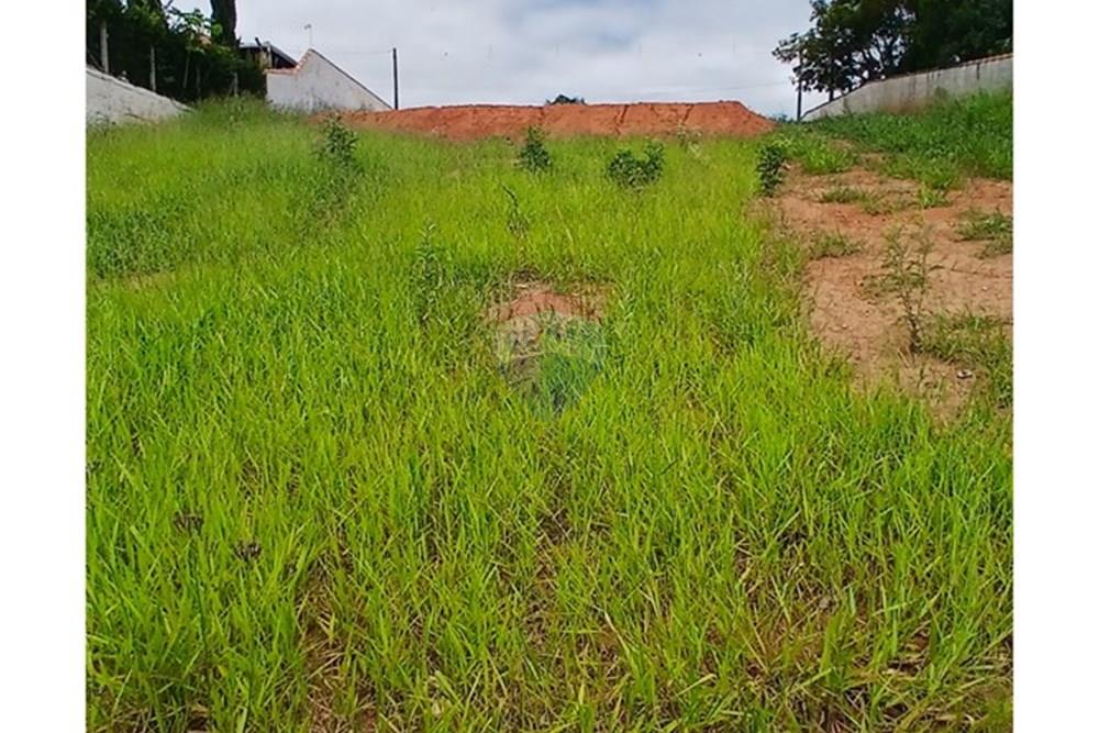 Terreno - Venda - Pinhalzinho , São Paulo - 20260121_112109.jpg - 690141085-42