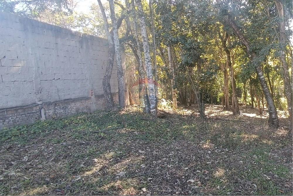 Terreno - Venda - Jaguariúna , São Paulo - 16.JPG - Quintal - 690671070-9